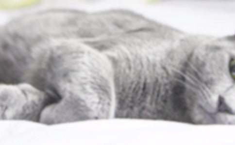 �ғ쵽��С؈���ķ���