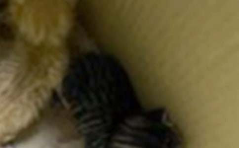 �����]���^��С؈������