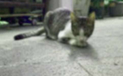 ���D��Ԓ���ģ����ĵ�С؈�����x21ƪ��