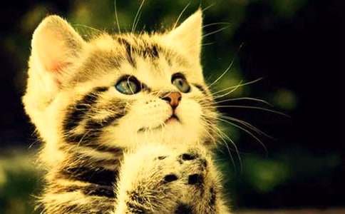 �ҵă�(ch��)���С؈����