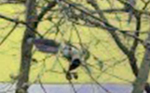 �Һ�С�B(ni��o)�Č�(du��)Ԓ(hu��)������400�֣�ͨ��20ƪ��