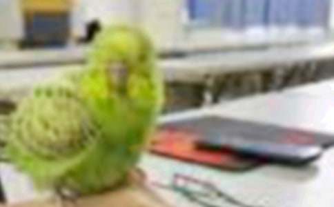 С�B(ni��o)���x����