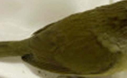 ���o(h��)����С�B���ģ�ͨ��24ƪ��