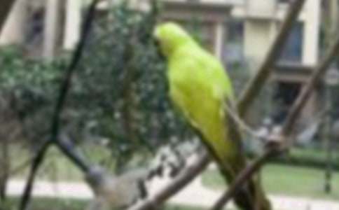 ��С�B������(15ƪ)