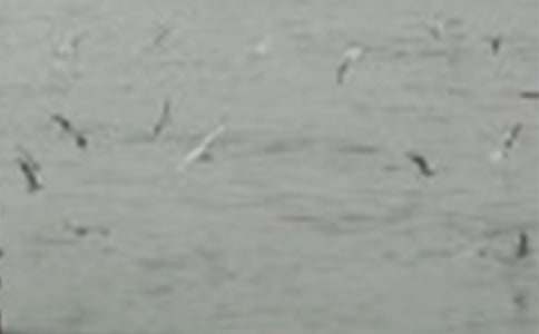 �oС�B��������