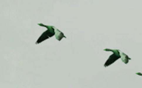 �Һ�С�B�Č�(du��)Ԓ_400��