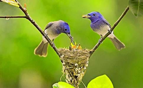 С�B�Ĺ���_С�W(xu��)����