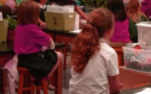 С�W(xu��)�����ģ�����