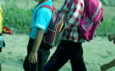 С�W������Ȥ������250��