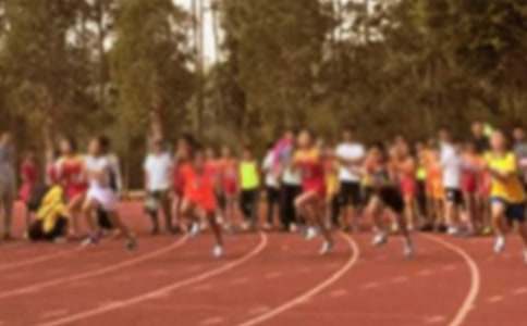 �����A��С�W(xu��)�\(y��n)��(d��ng)��(hu��)����500���\��ʮƪ