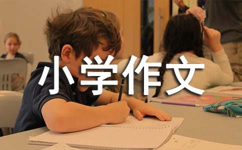 洗桌椅的小學(xué)作文(精選12篇)