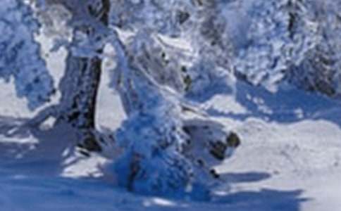 有關小雪的好詞好句