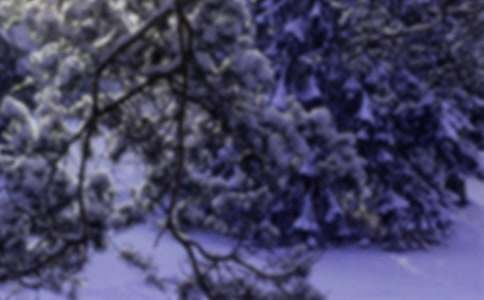 �oСѩ��һ���ţ����x10ƪ��