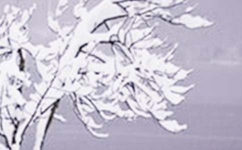 ���P(gu��n)��Сѩ���V�Z(y��)