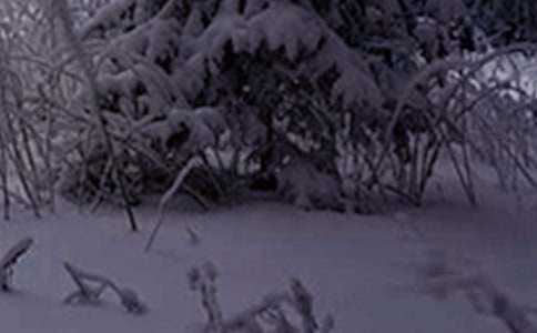 �ҵ�����Сѩ����700�֣�ͨ��29ƪ��