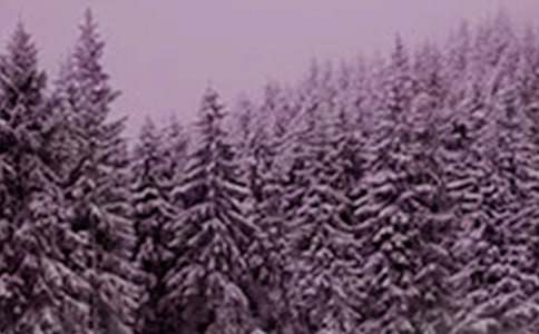 Сѩ�����ģ����x32ƪ��