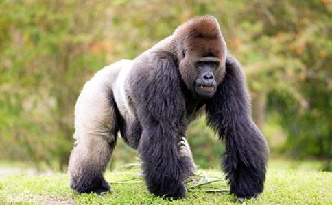 Λρ�����ɵ�����400�֣����x6ƪ��