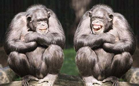 ��(du��)�����������������꼉(j��)����