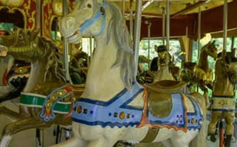 ���D(zhu��n)ľ�R800������