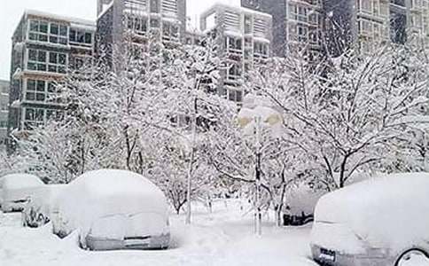 ѩ��(z��i)��־Ը��������