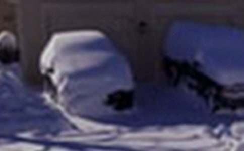 ��ѩ��(z��i)����(y��ng)���ݾ��������ģ�ͨ��11ƪ��