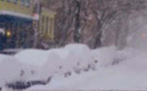 ѩ�ĵ�����