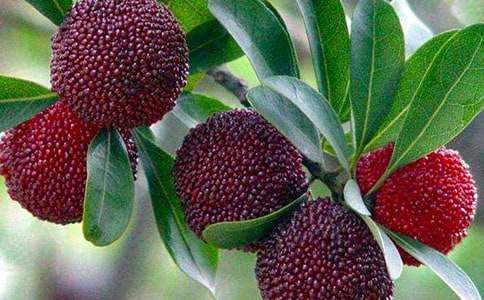 �ɗ�÷��옷���ģ����x21ƪ��