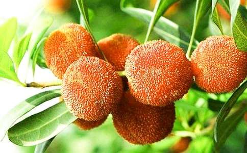 ժ��÷ӛ��������