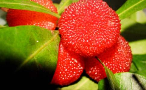 �Ґ۹��l(xi��ng)�ė�÷����(���\6ƪ)