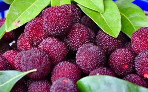 �Ґ۹��l(xi��ng)�ė�÷����350��