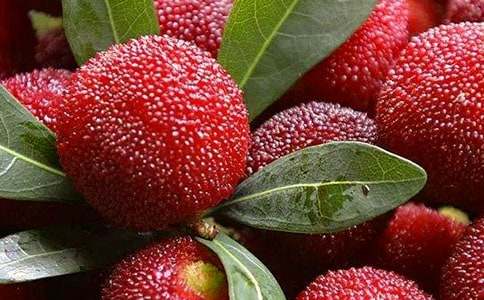 ����÷���������