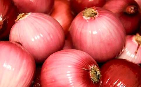 �茑���[������300�֣����x28ƪ��