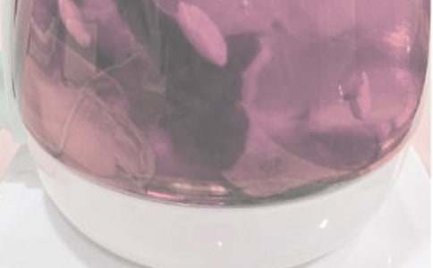 苦難滋養(yǎng)生命花作文550字