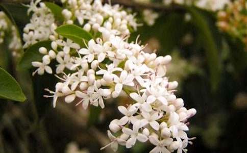 С�W(xu��)�����Ґ�ҹ����