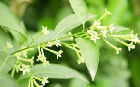 ҹ������ҹ�`������