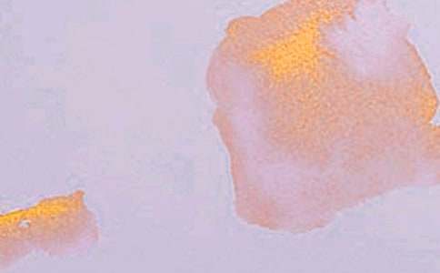 傳承傳統(tǒng)藝術(shù)作文