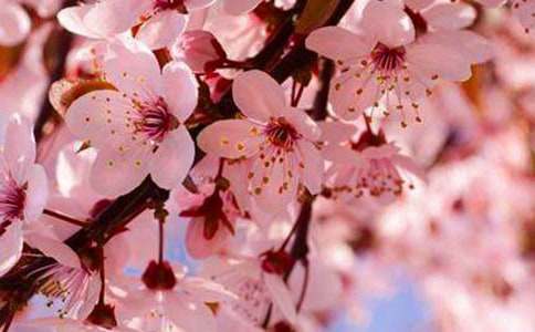 �ѻ��_������800��