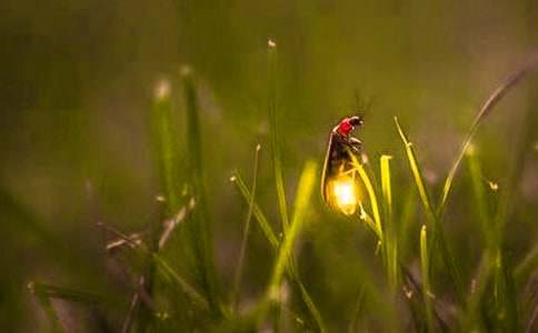 Ξ���x���������ģ����x15ƪ��