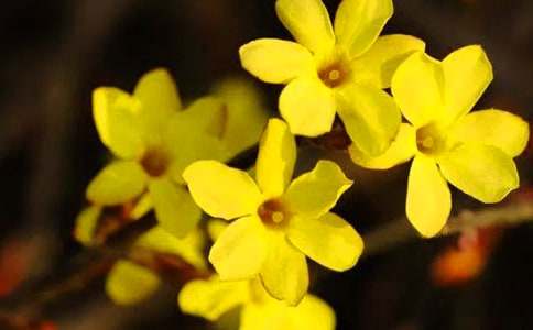 �����ӭ�������ģ����x32ƪ��