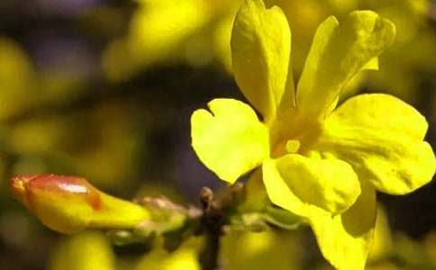 �茑ӭ���������ģ�ͨ��43ƪ��