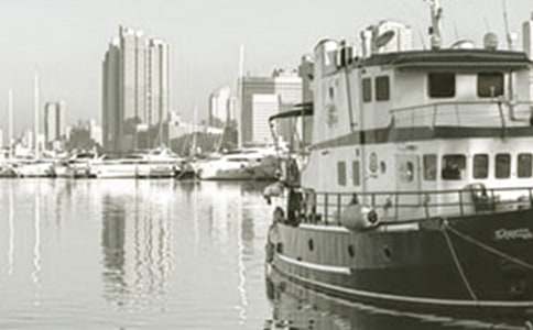 ��ɽ��ͧ������