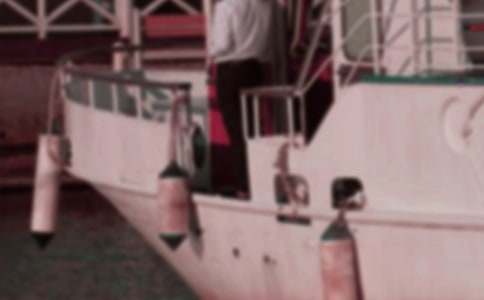 工藝品游艇作文600字