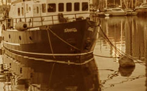 作文:方便的太陽能游艇