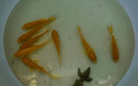 �~��ُ�N�ĺ�ͬ������