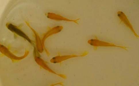 �~��ُ�N��ͬ14ƪ