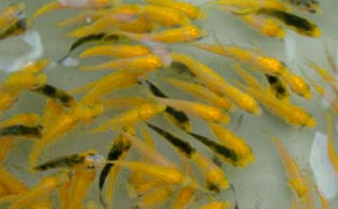 �~��ُ(g��u)�N��ͬ12ƪ