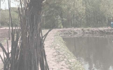 ���~�����꼉����