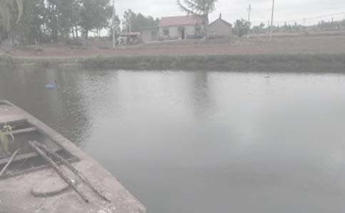 ���l(xi��ng)���~�����ģ�ͨ��34ƪ��