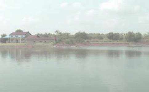 �������~������4ƪ