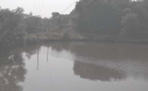 �������l(xi��ng)���~������